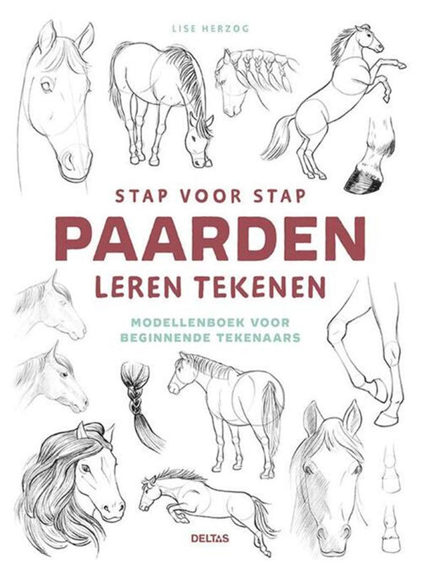 Deltas stap voor stap paarden leren tekenen