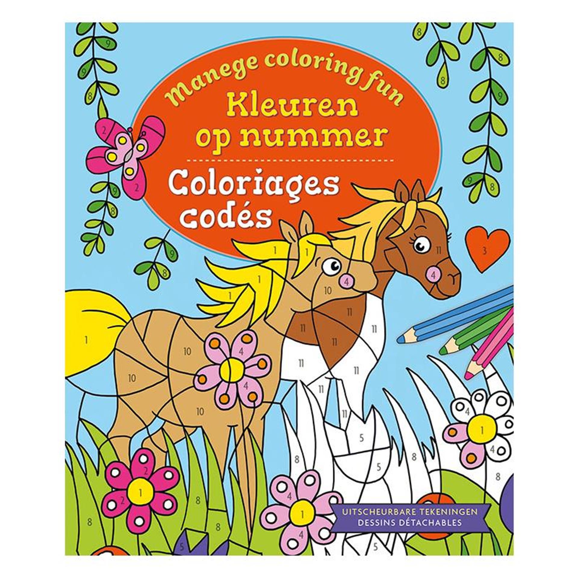 Deltas manege coloring fun - kleuren op nummer