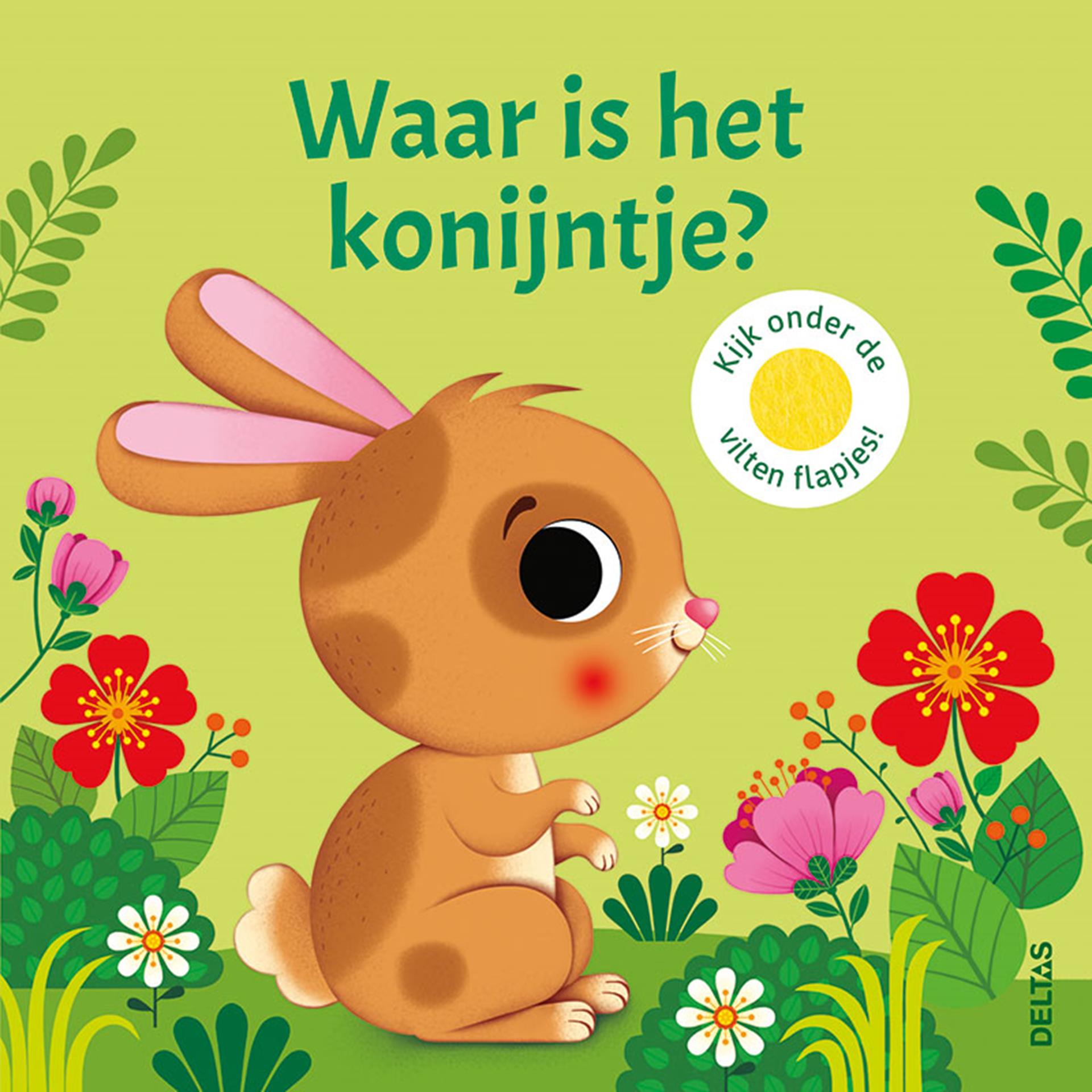 Deltas waar is het konijntje? flapjesboek