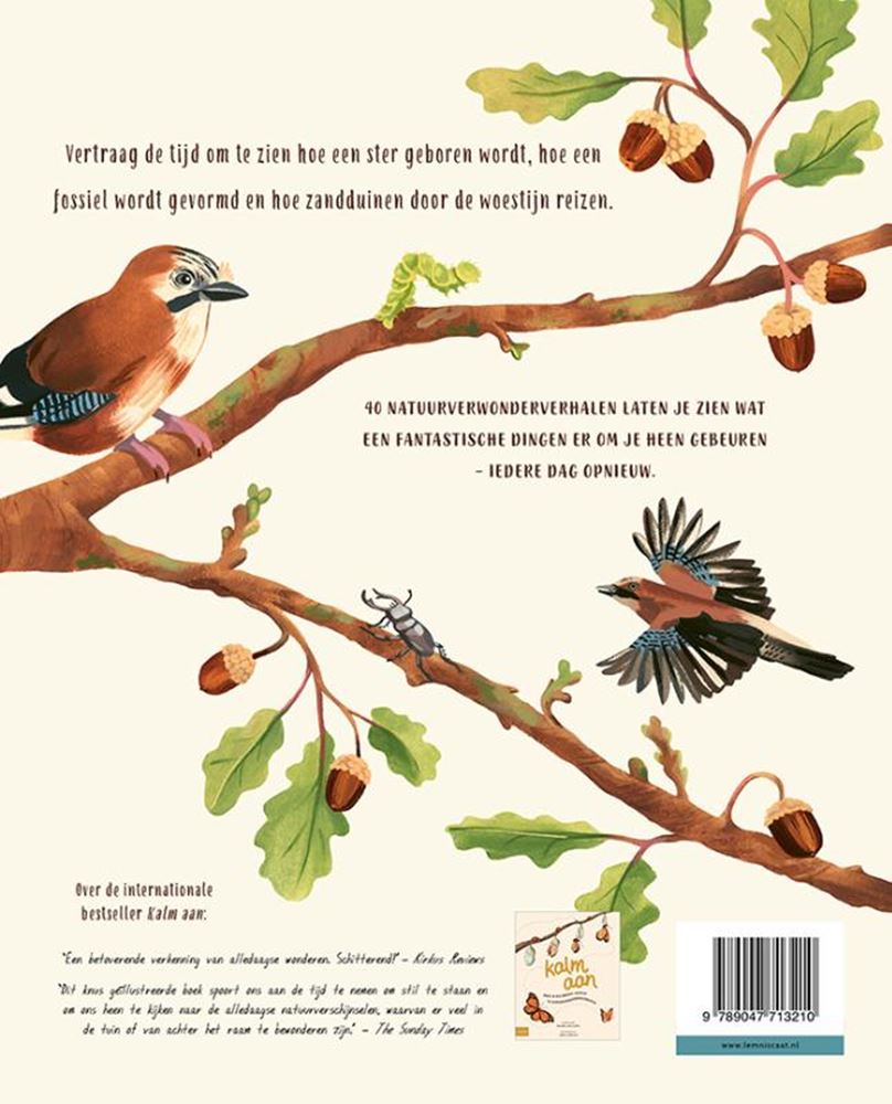 Kalm aan...en kijk om je heen. 8+