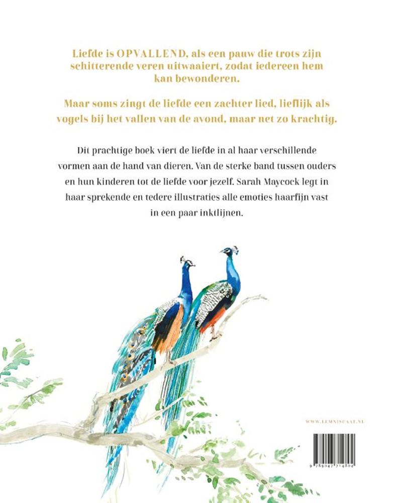 Liefde is... 4+