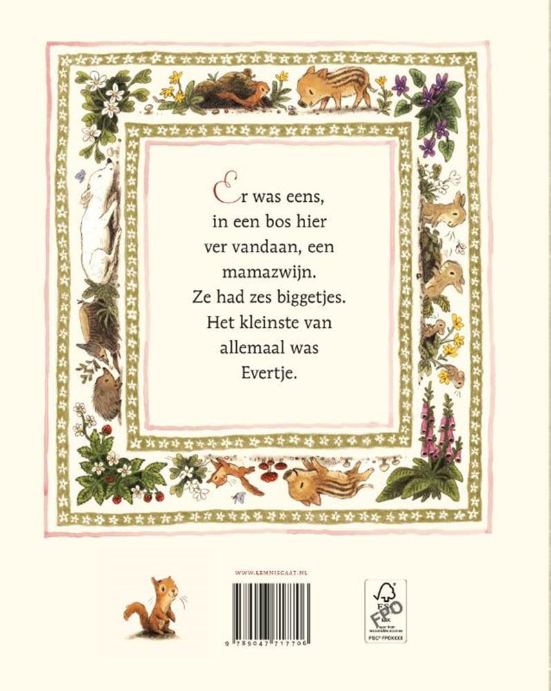 Prentenboek: evertje 4+
