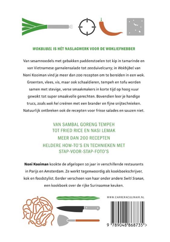 Wokbijbel volwassene