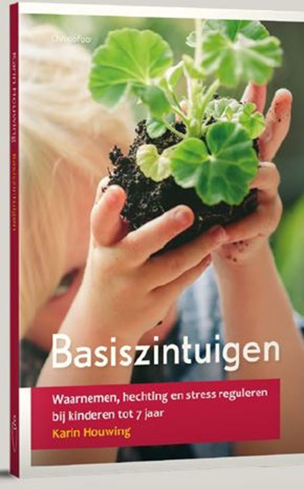Basiszintuigen.