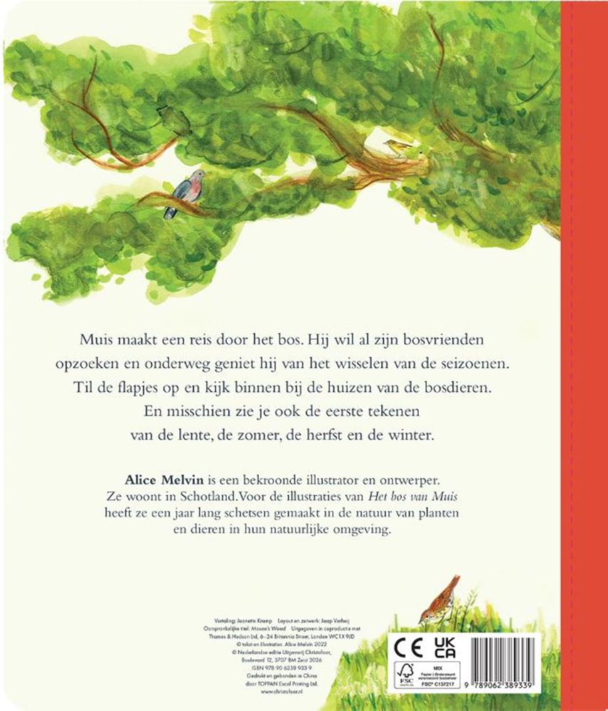 Kartonboek: het bos van muis 3+