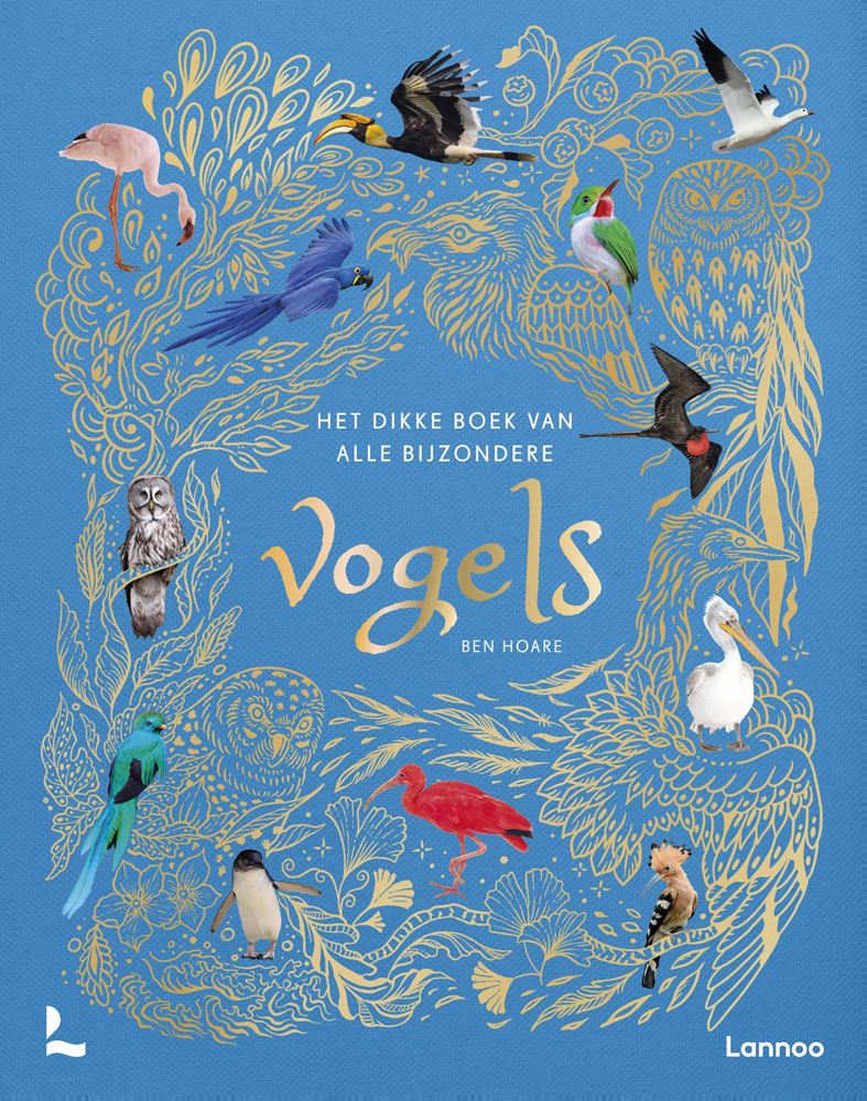 Het dikke boek van alle bijzondere vogel
