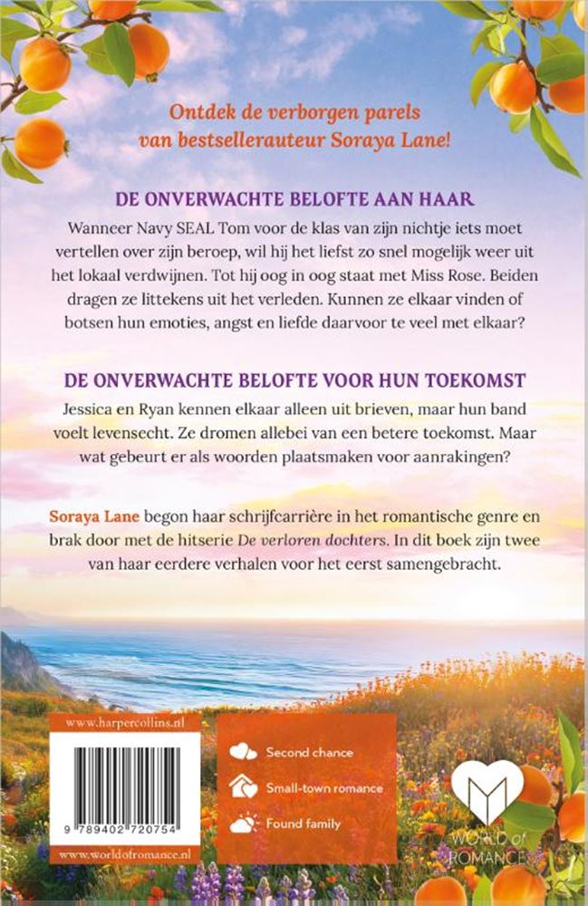 De onverwachte belofte -
