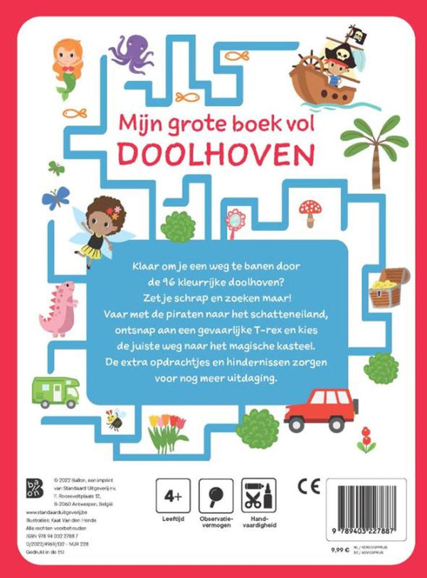 Standaard uitgeverij mijn grote boek vol doolhoven