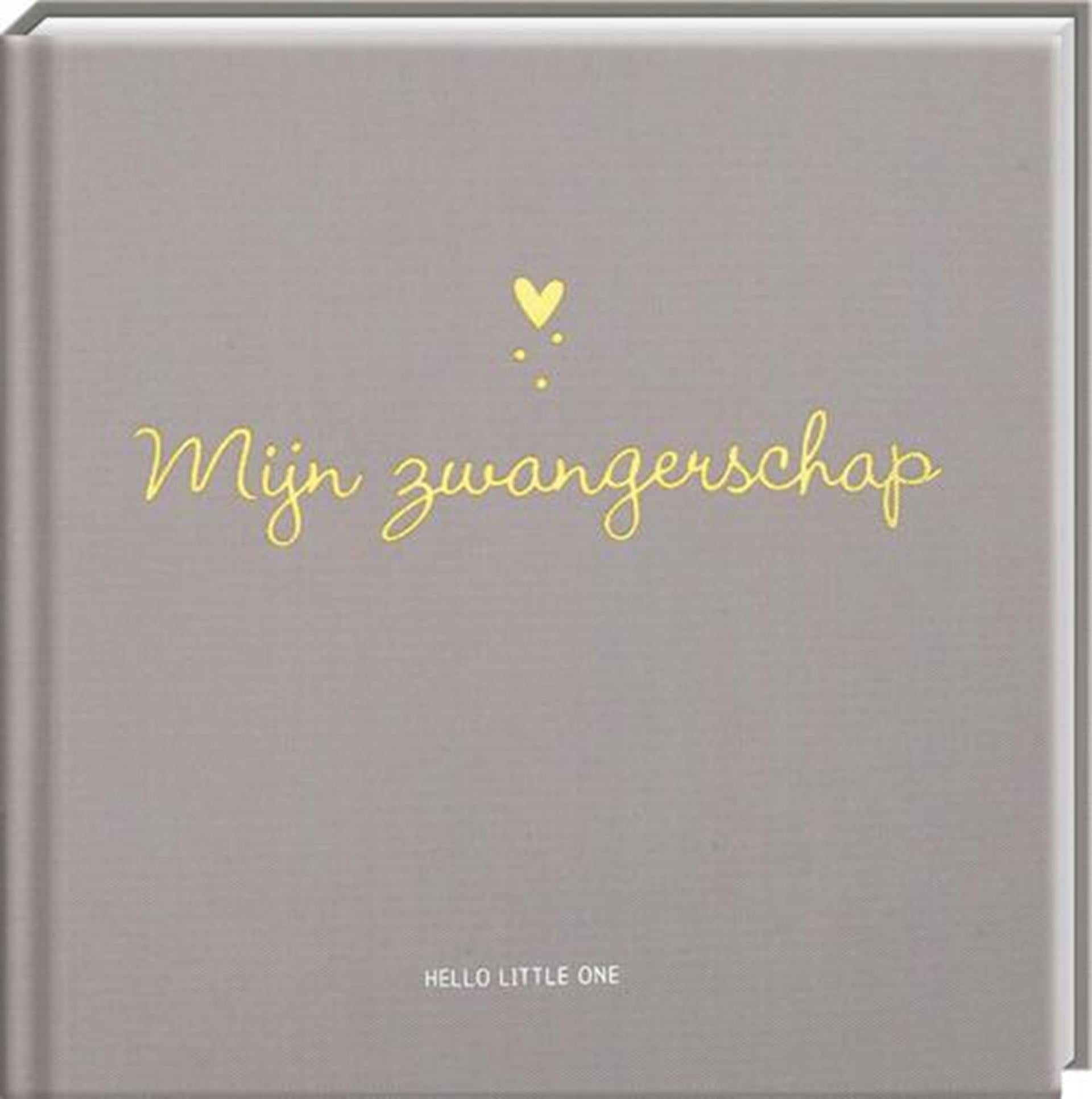 Imagebooks hello little one invulboek zwangerschap