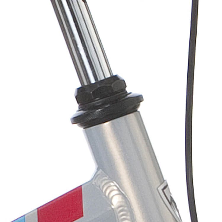 Alpina balhoofdstel Brave zwart