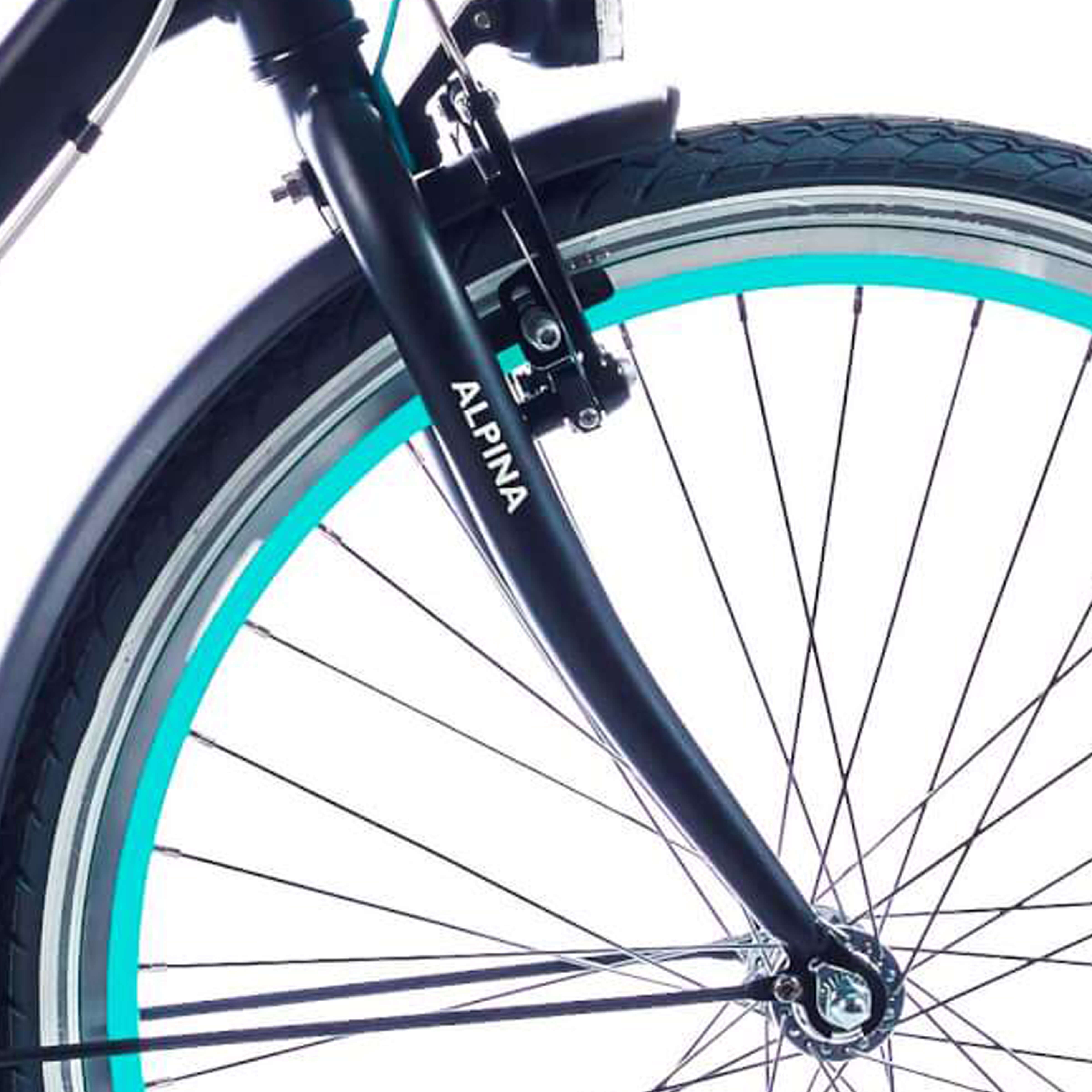 Alpina voorvork 26 Mood zwart met mat