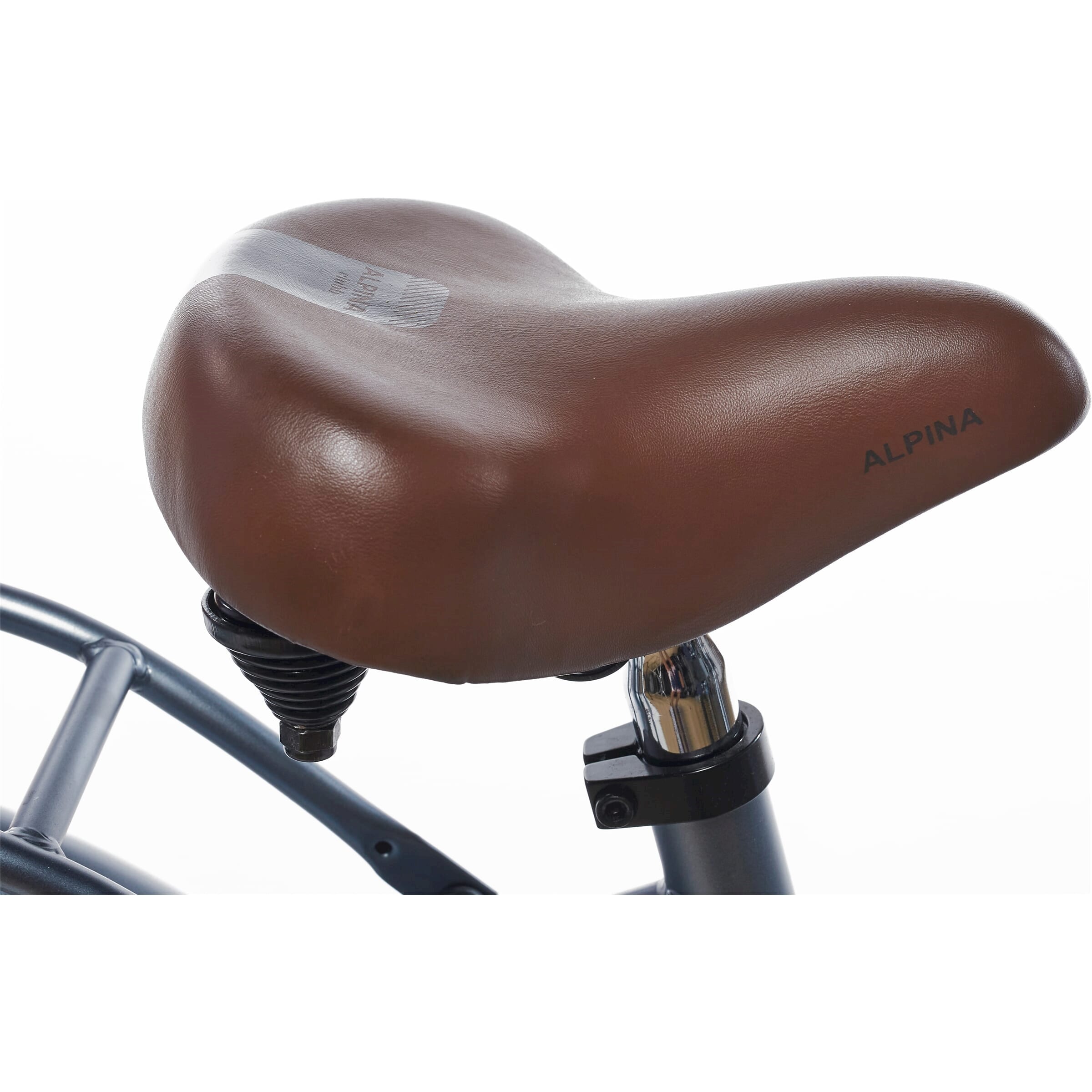 Alpina zadel 20 22 clubb bruin