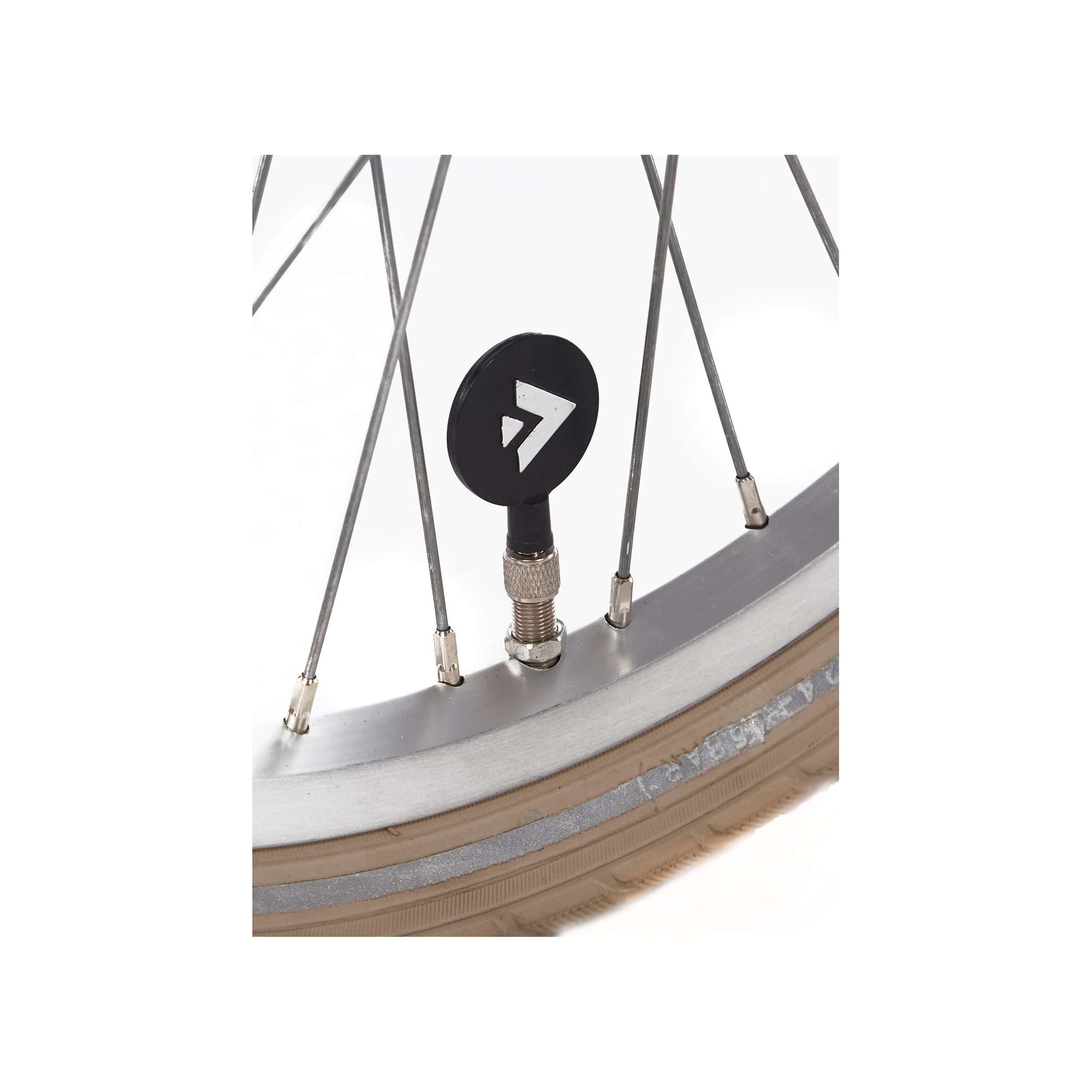 Alpina Cargo M20 Hout Rose Mat