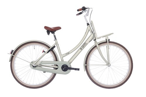 Aldo 26 inch vrachtcruiser ds 3v koninklijk groen