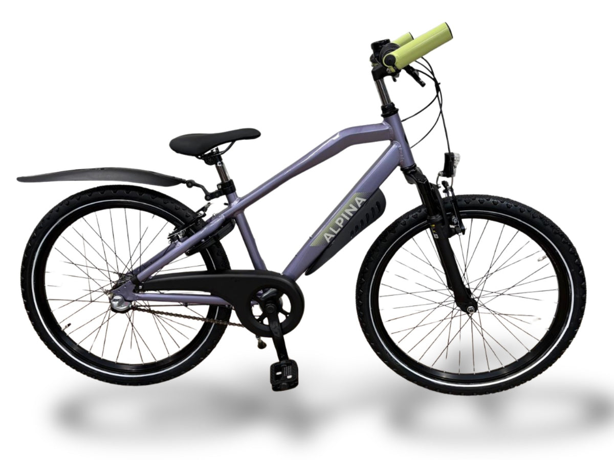 Alpina trial 26 pearl blackberry gloss