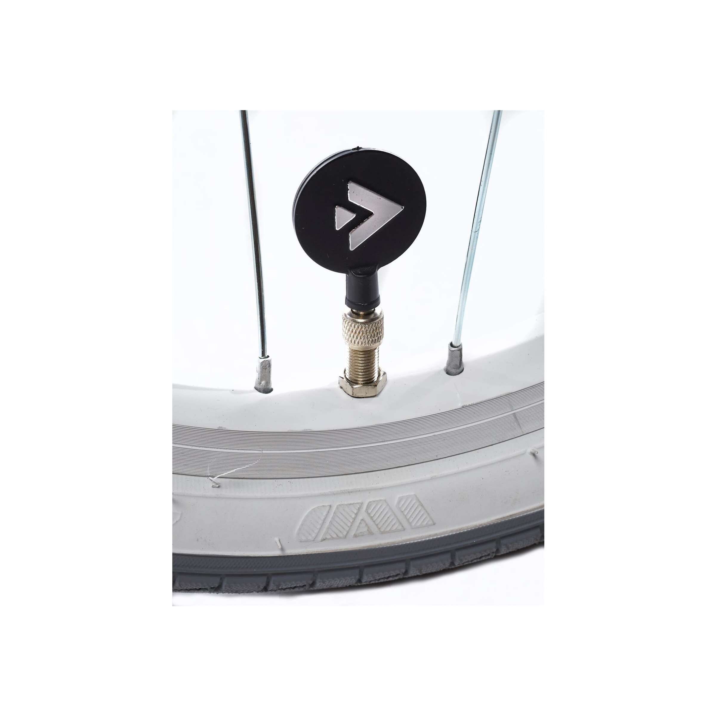 Alpina Ocean M18 Misty Roze