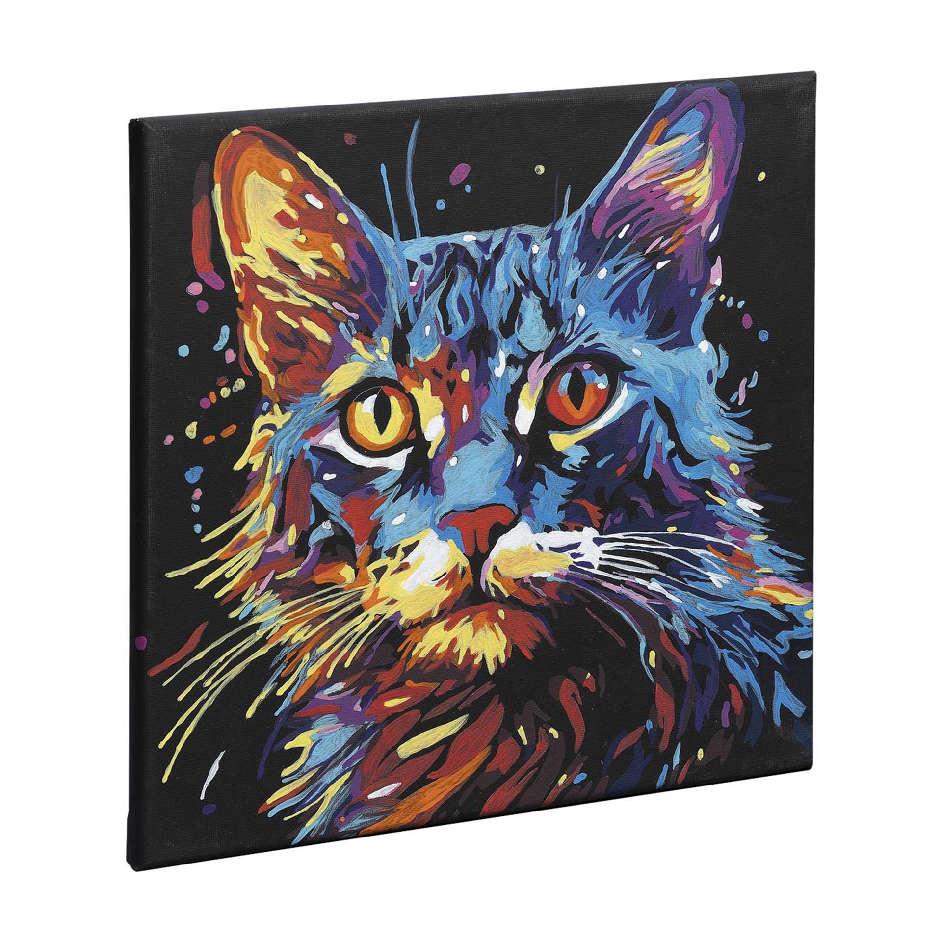 Creatieve hobbygroep schilderen op nummer zwart canvas kat, 30x30cm