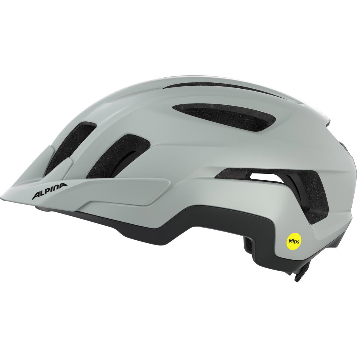 Alpina sports tour helm paranus mips 55-59 mat grijs