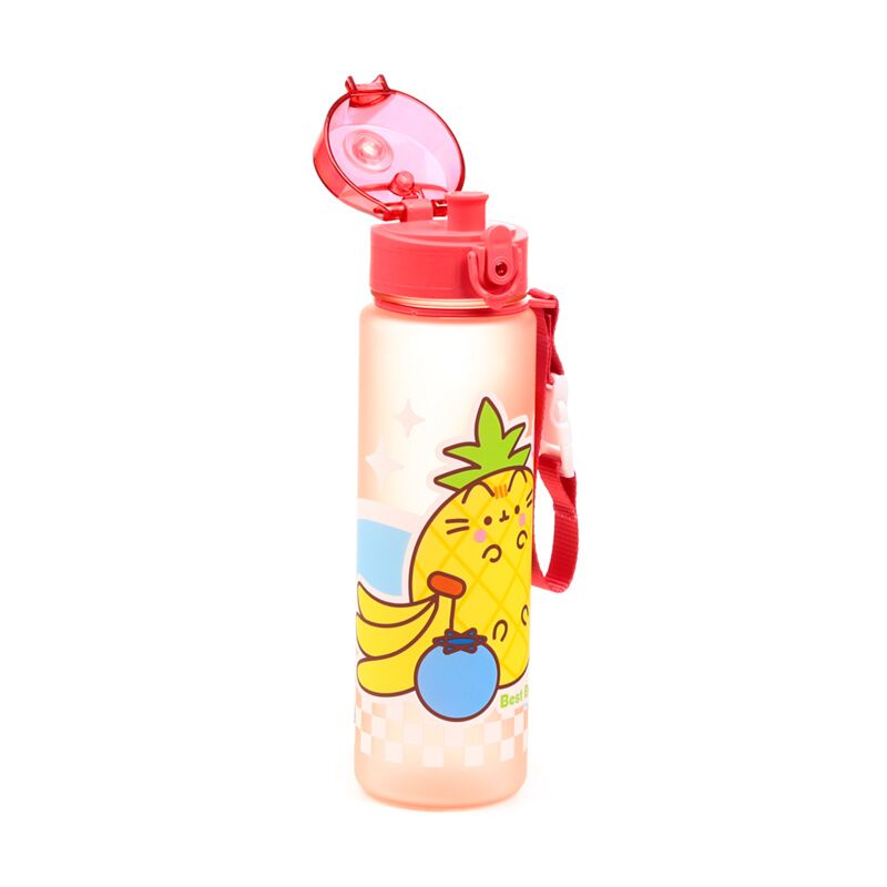 Pusheen de kat fruitpop top 600ml ecozen drinkfles