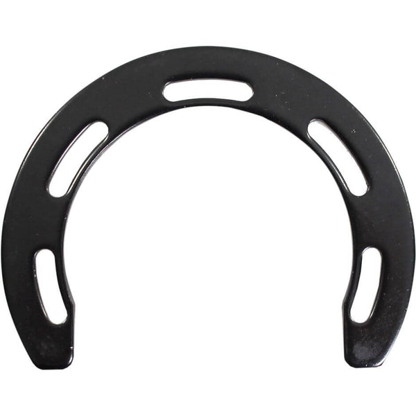 Bafang chainguard bracket m300 420