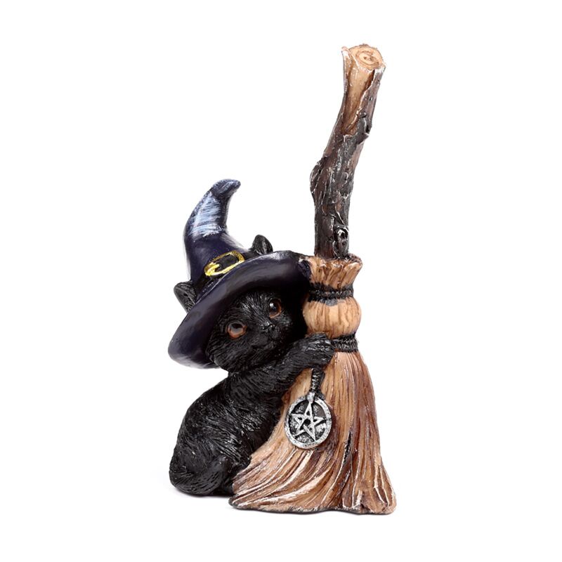 Heksen zwarte kat met bezem
