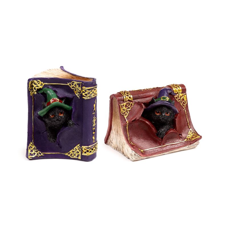 Heksen zwarte kat mischievous spell book