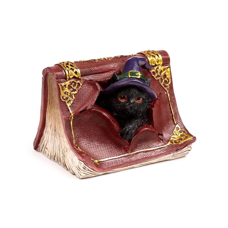 Heksen zwarte kat mischievous spell book