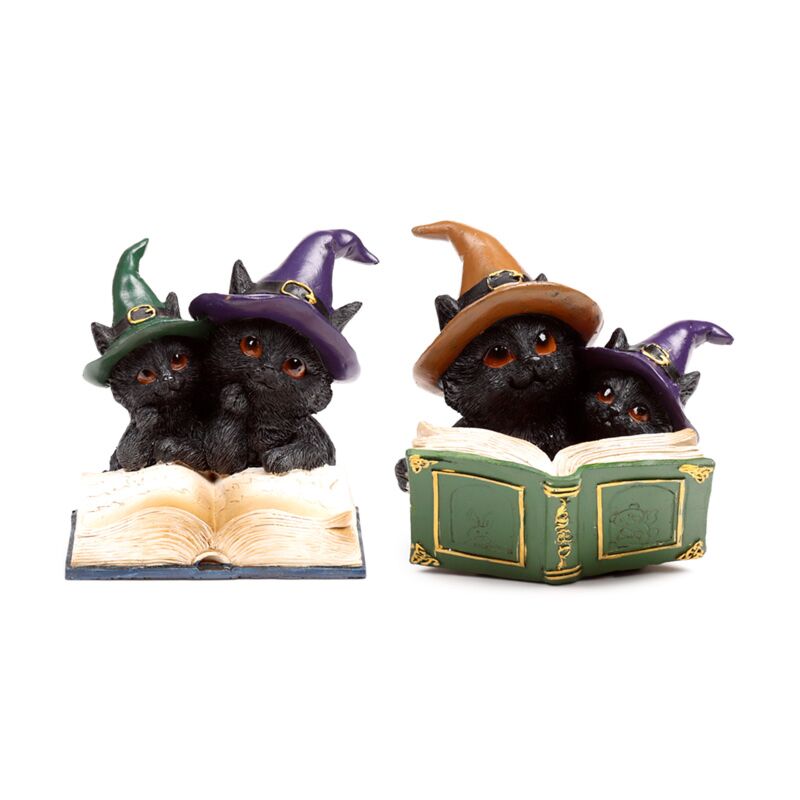 Heksen zwarte kat magical spell book
