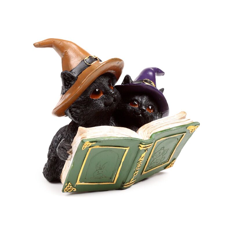 Heksen zwarte kat magical spell book