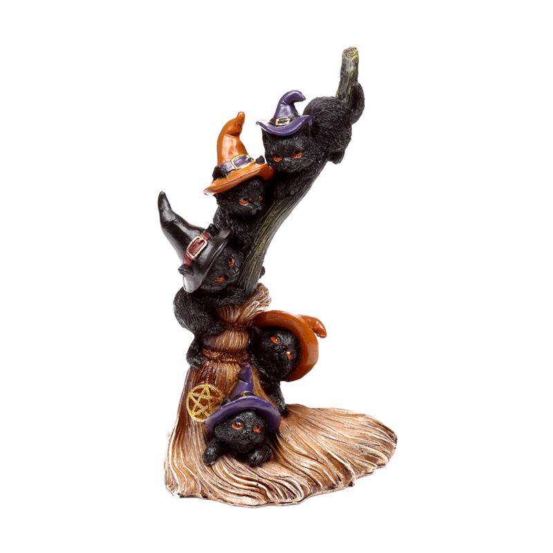 Heksen zwarte kat climbing broomstick