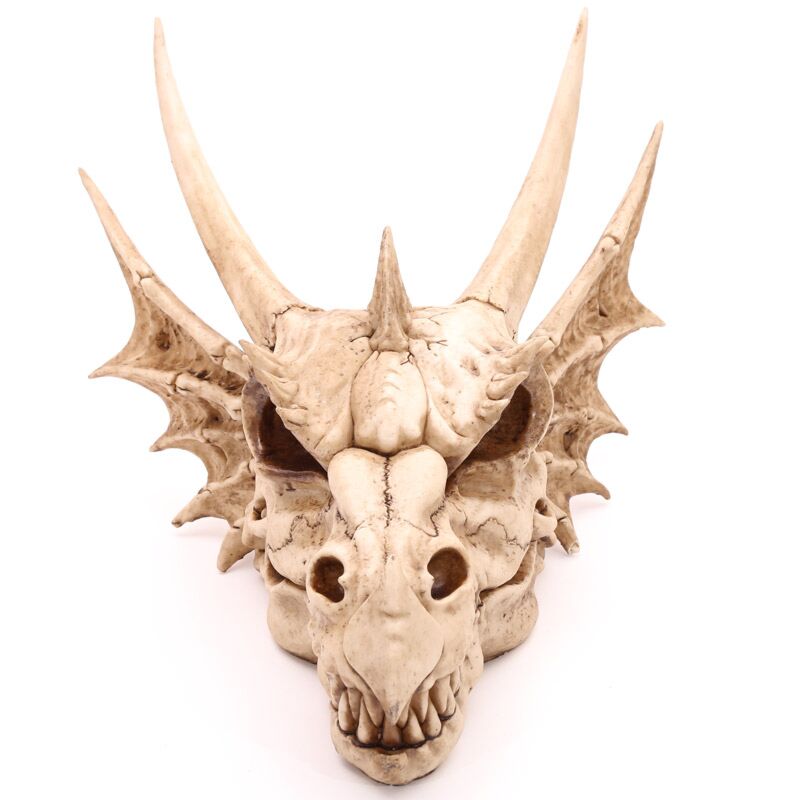 Drakenschedel decoratie - groot