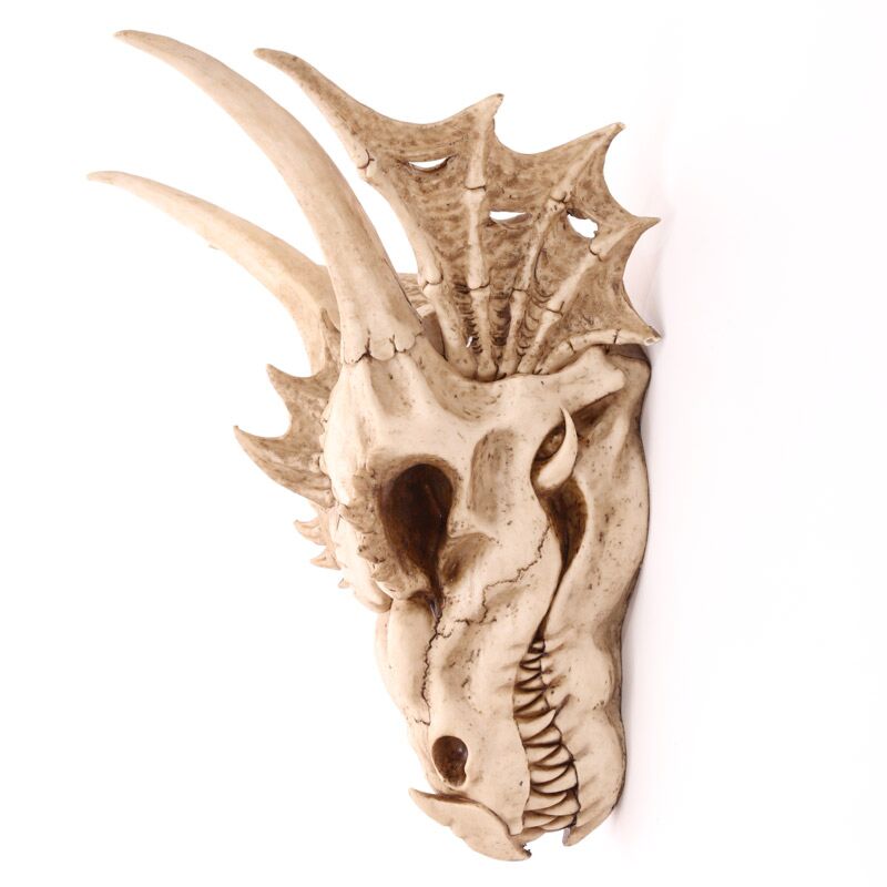 Drakenschedel decoratie - groot