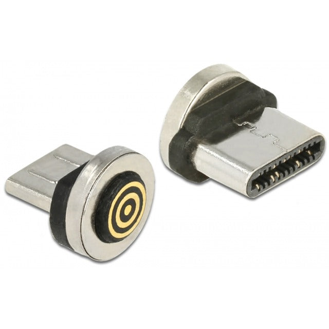 DeLOCK DeLOCK Magnetische adapter USB-C