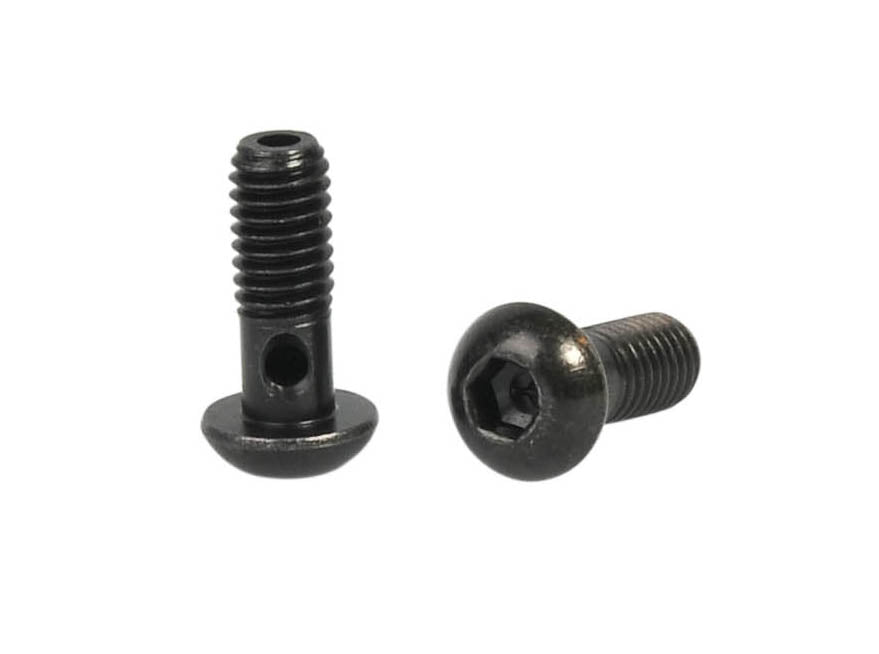 Elvedes banjo bouten m6 (2st)