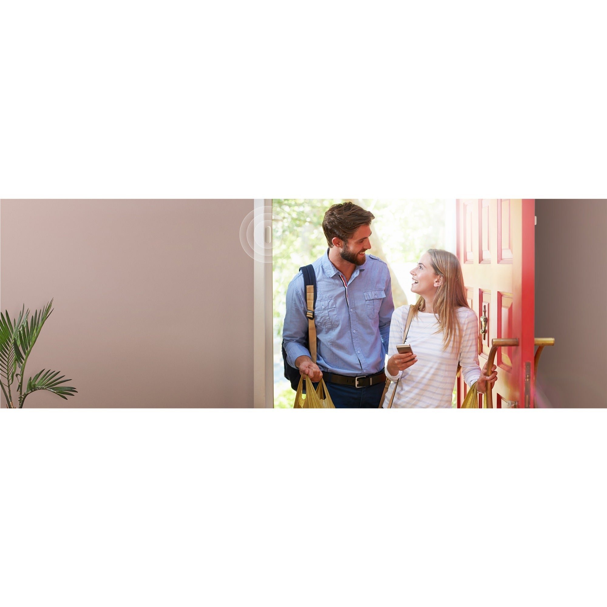 Fibaro Fibaro Deur Raamsensor 2