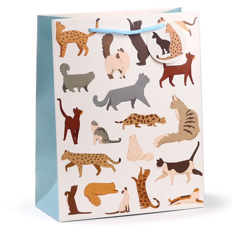 Feline fijne katten - cadeautasje groot