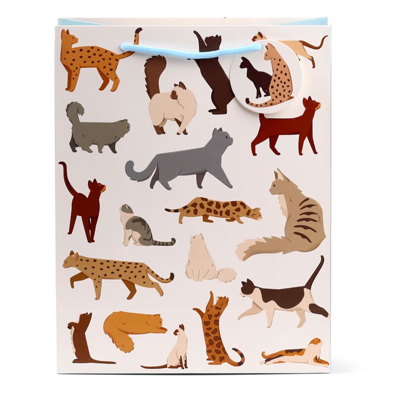 Feline fijne katten - cadeautasje groot