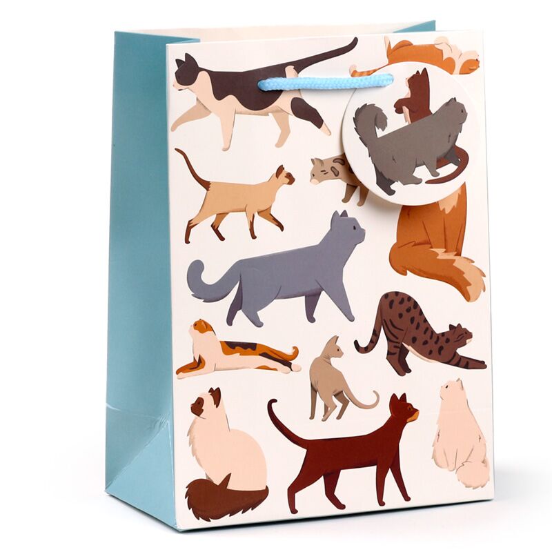 Feline fijne katten - cadeautasje medium