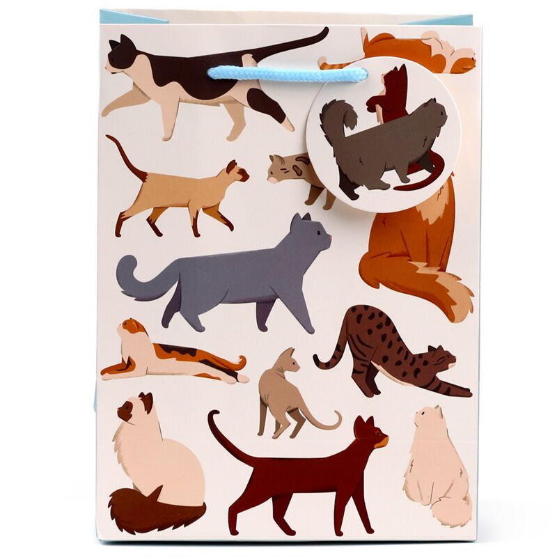 Feline fijne katten - cadeautasje medium
