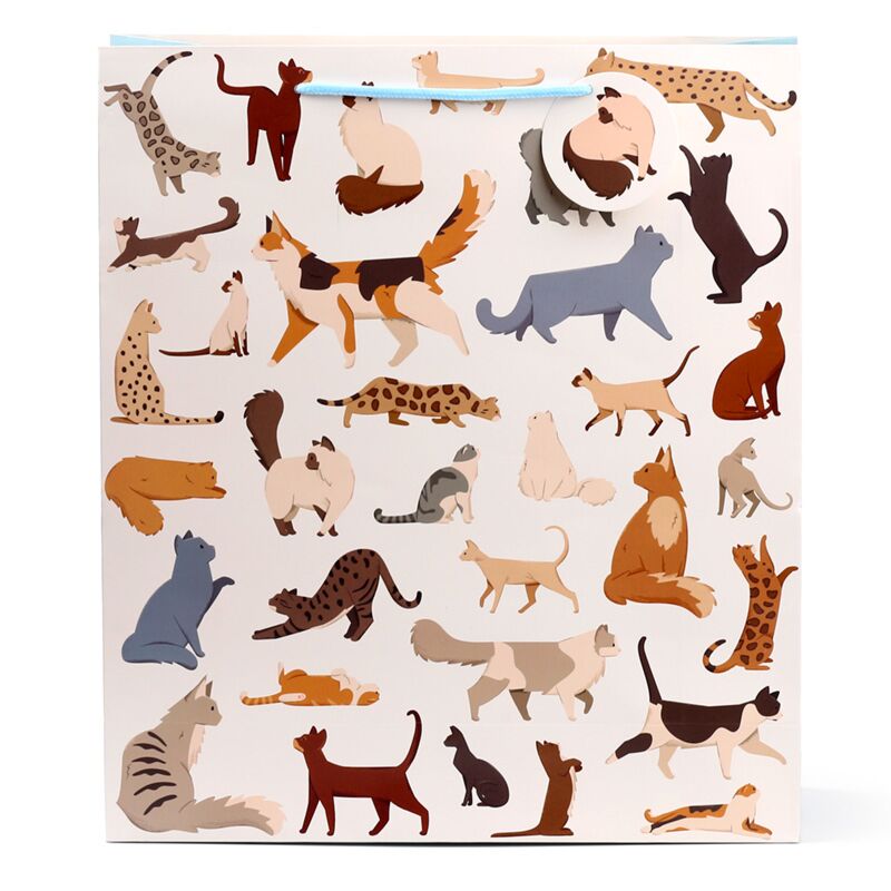 Feline fijne katten - cadeautasje xl