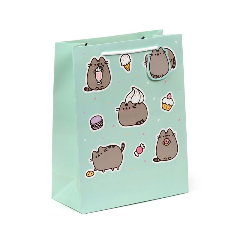 Pusheen de kat core cadeautasje groot