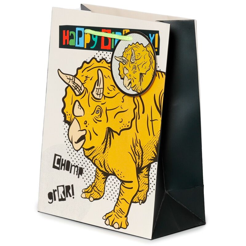 Happy birthday dinosaurussen - cadeautasje medium