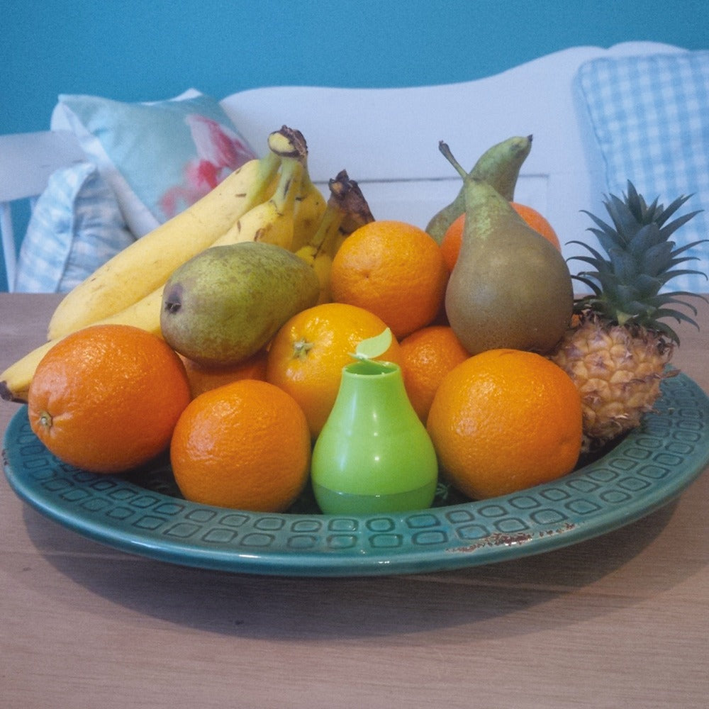 HG Fruitvliegjesval Navulling