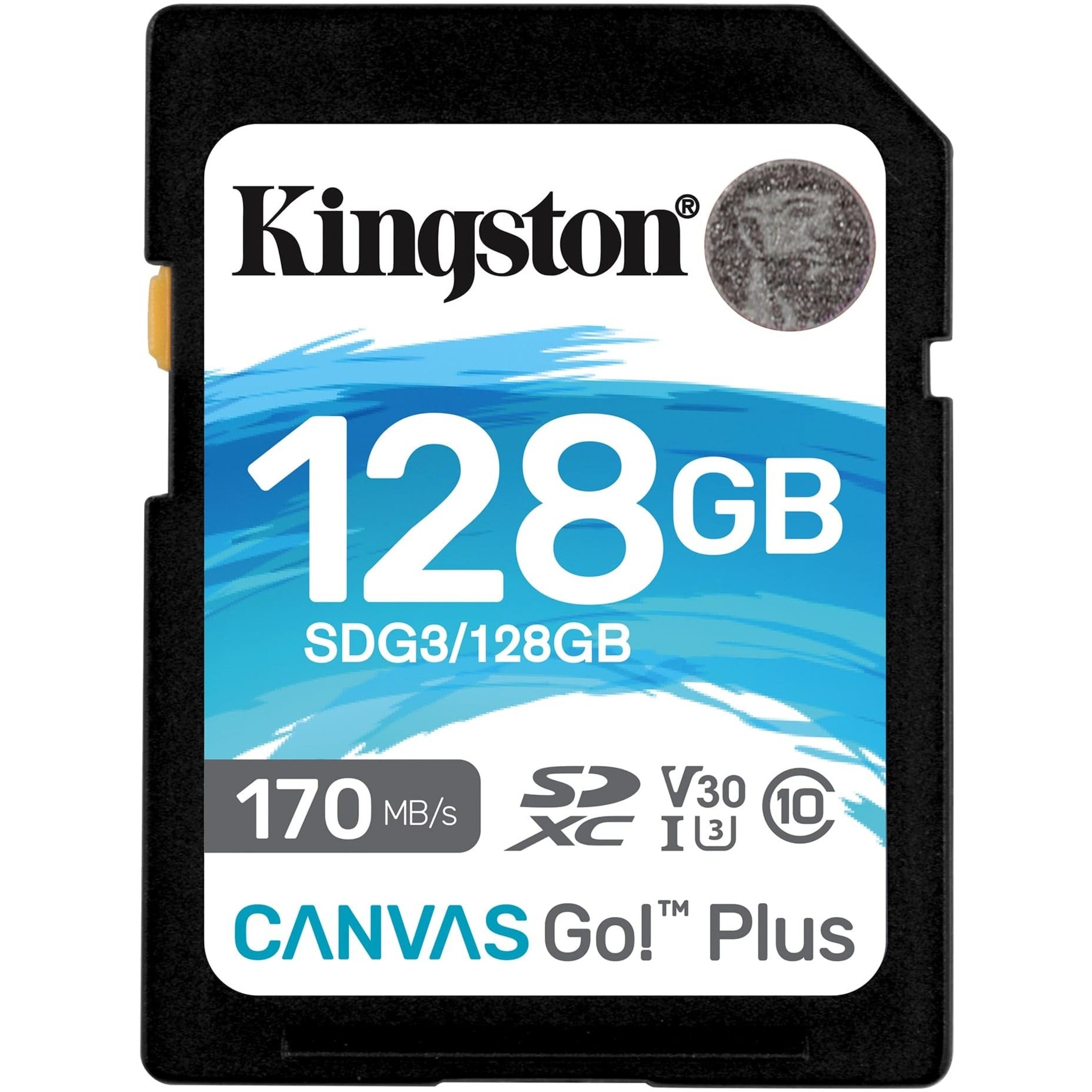 Kingston Kingston Canvas Go! Plus SDXC 128 GB