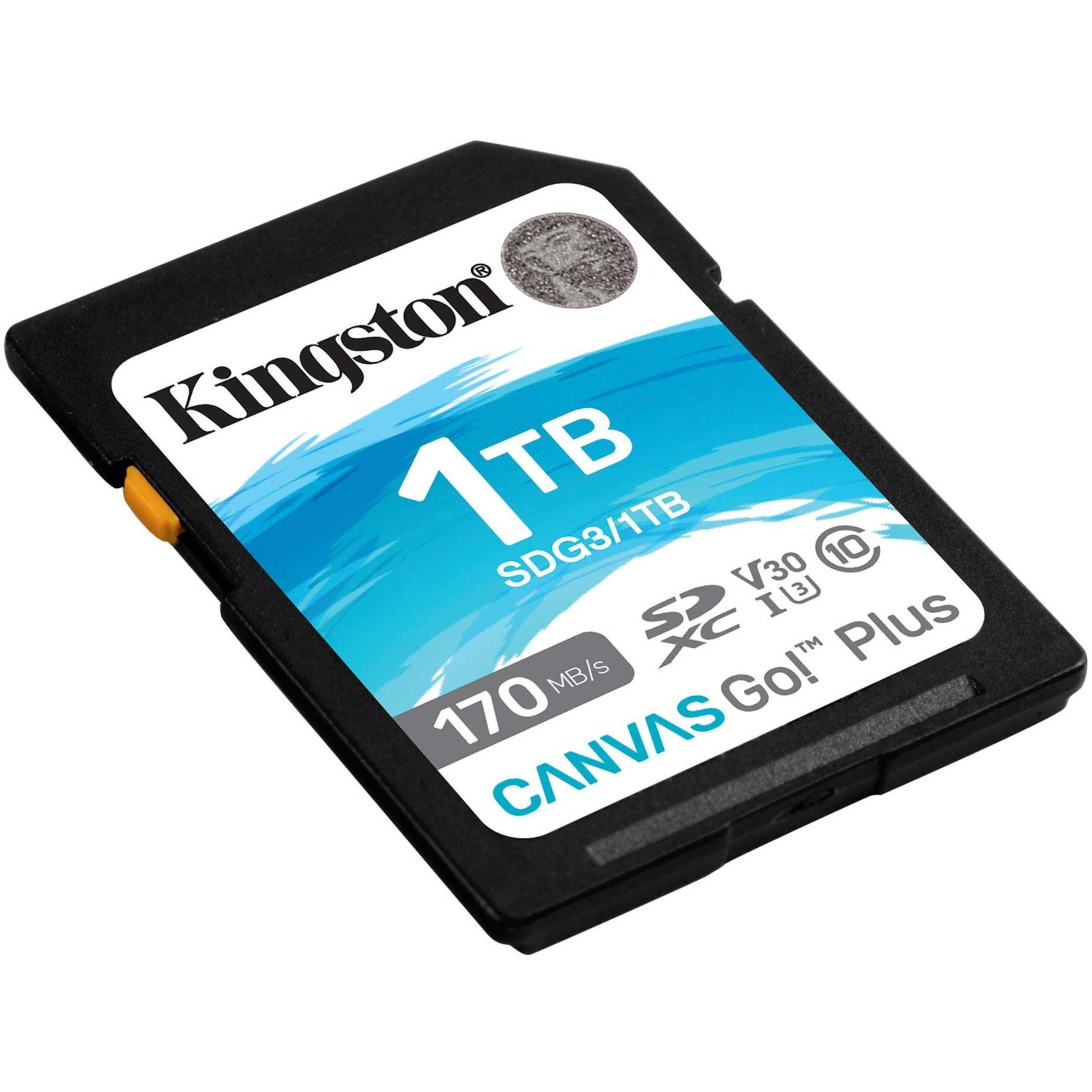 Kingston Kingston Canvas Go! Plus SDXC 1TB