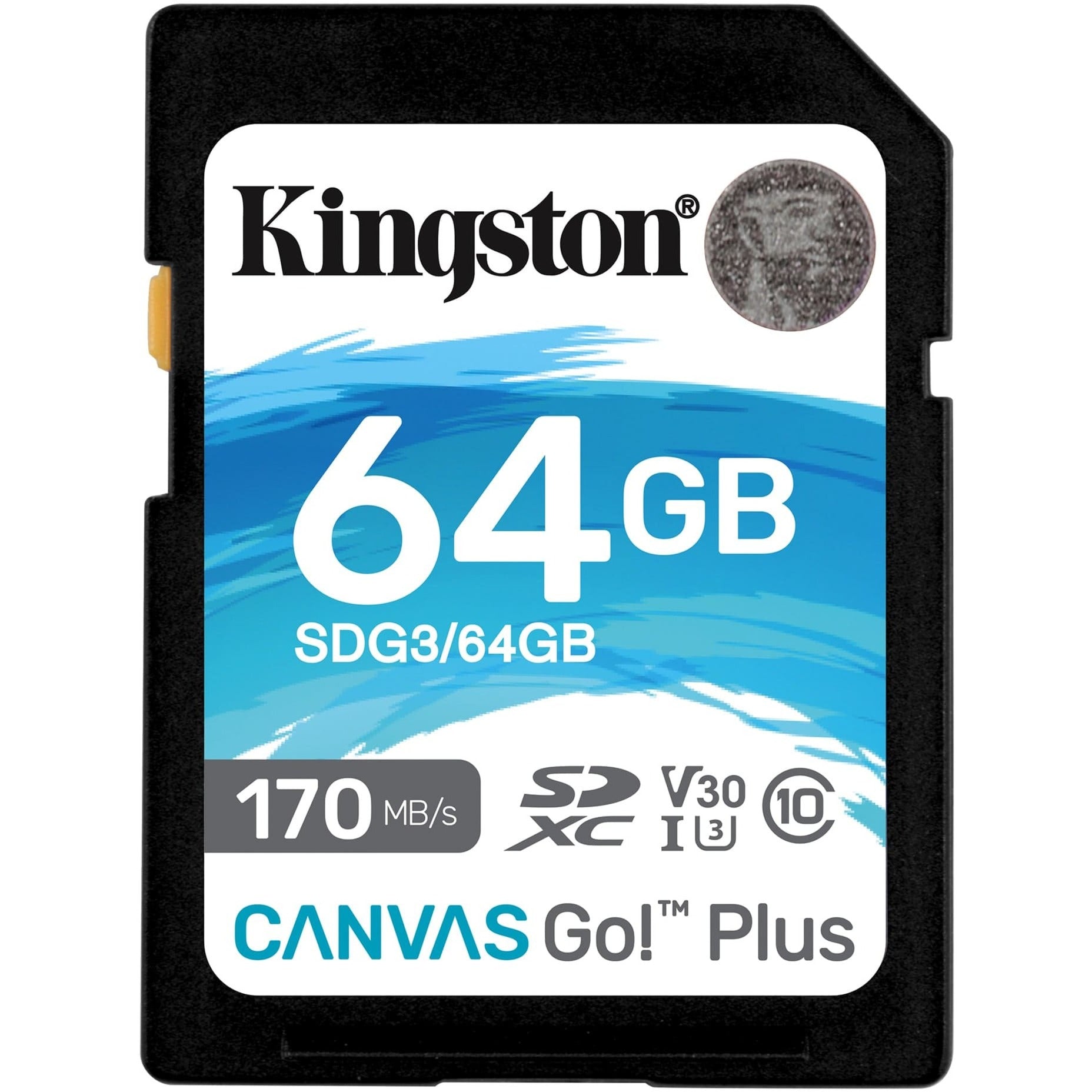Kingston Kingston Canvas Go! Plus SDXC 64 GB
