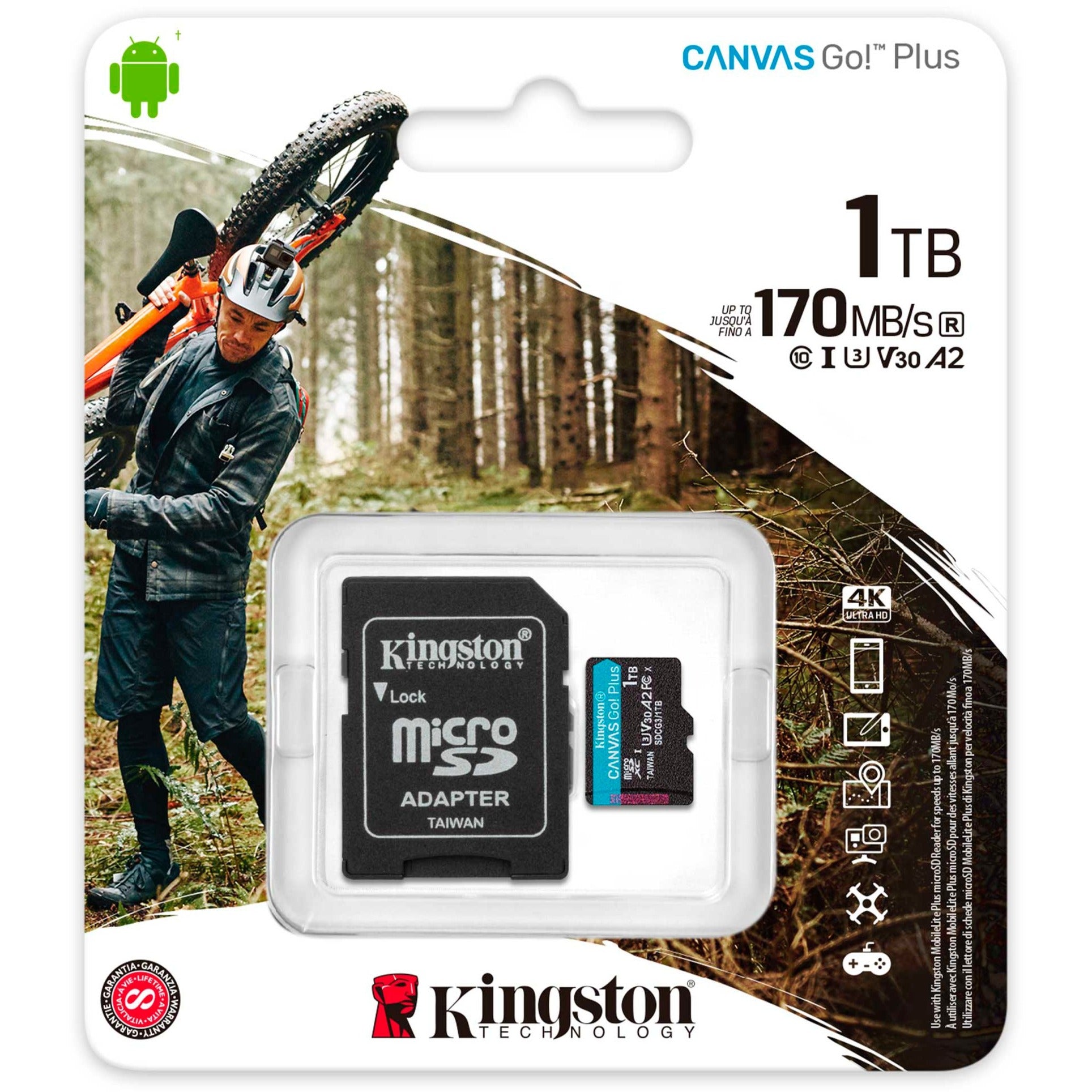 Kingston Kingston Canvas Go! Plus microSDXC 1 TB