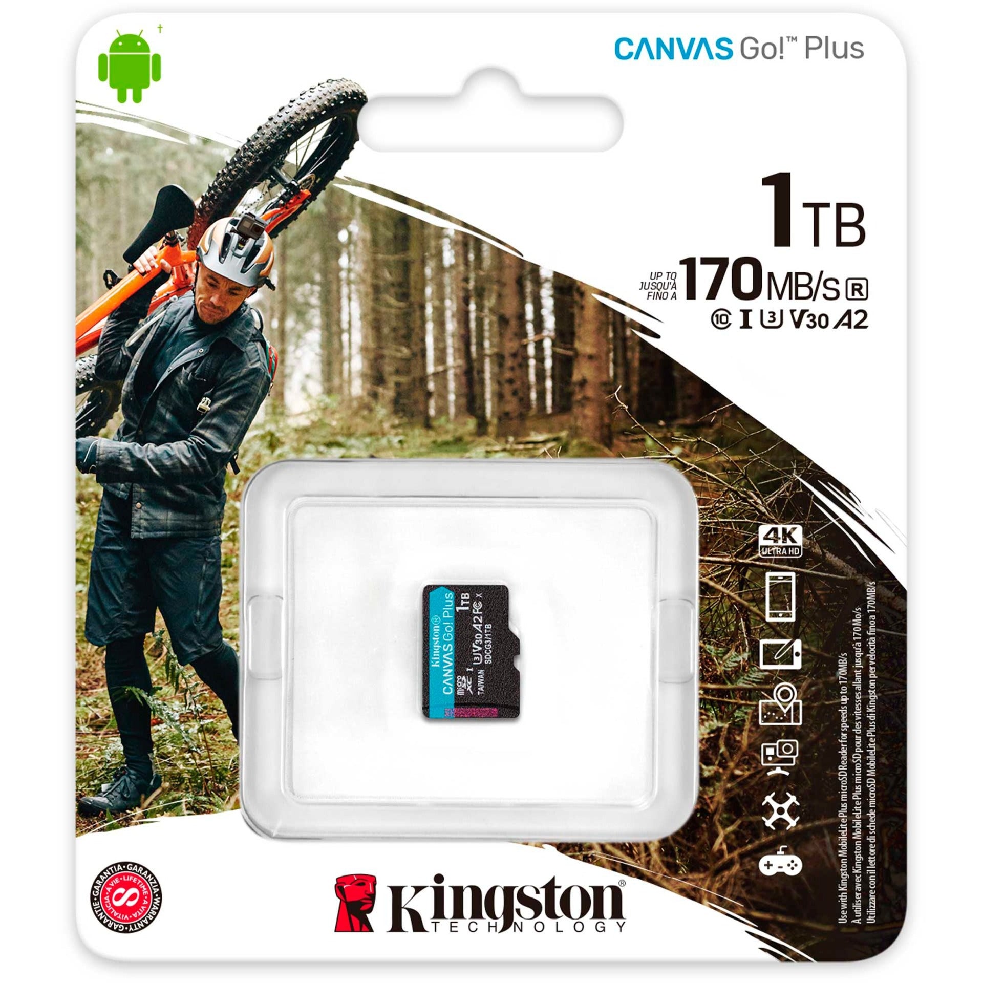 Kingston Kingston Canvas Go! Plus microSDXC 1 TB