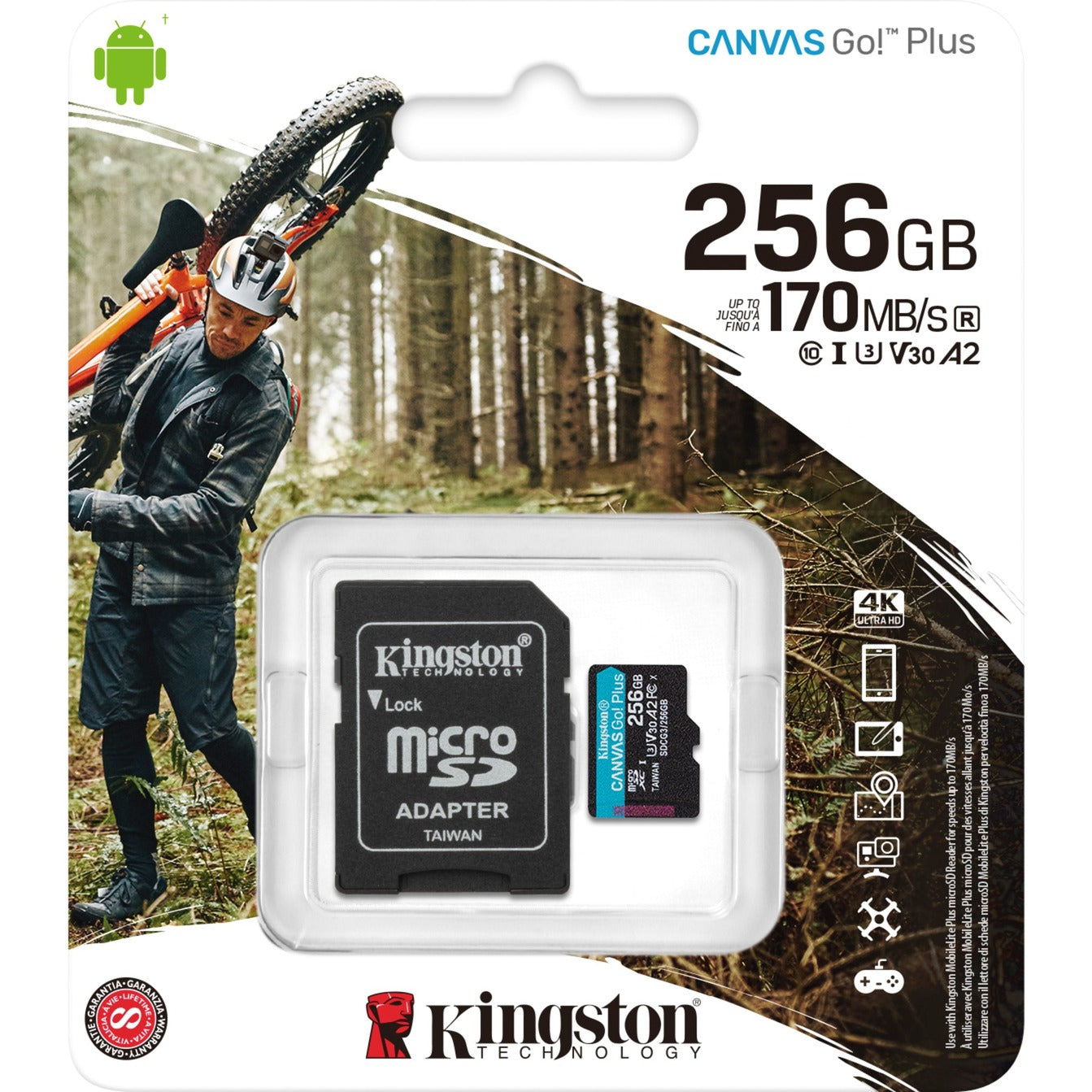 Kingston Canvas Go! Plus microSDXC 256 GB