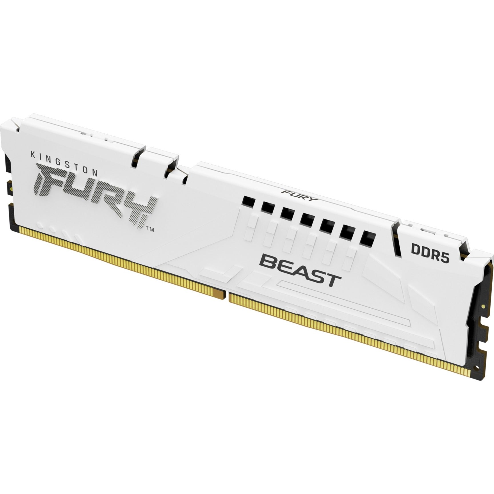 Kingston FURY Kingston FURY 16 GB DDR5-6000